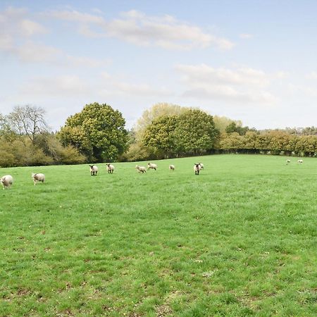 Farmhouse Garden Shepherds Hut Thursley Dış mekan fotoğraf