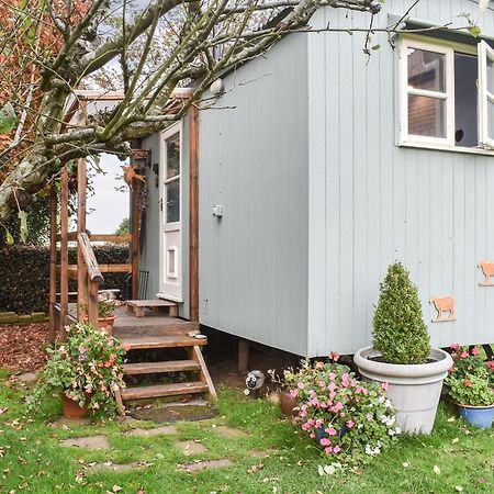 Farmhouse Garden Shepherds Hut Thursley Dış mekan fotoğraf